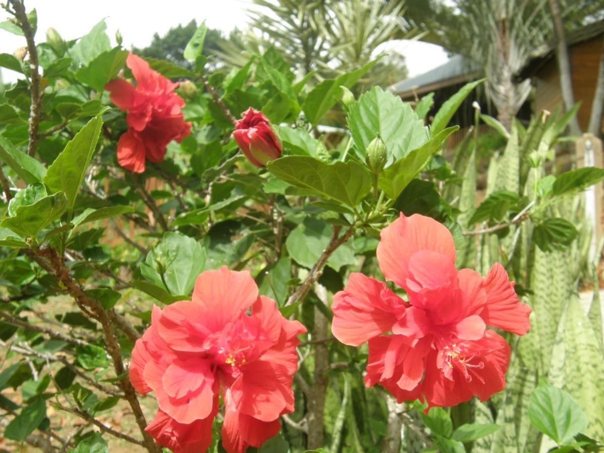 Le Matelot De La Baie Villa เดเอ ภายนอก รูปภาพ